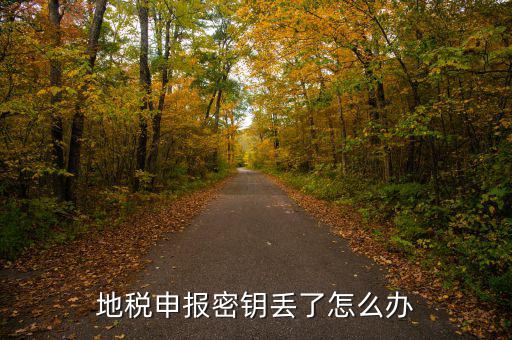 武漢地稅密鑰如何補(bǔ)辦，地稅報(bào)稅key掉了補(bǔ)辦需要什么手續(xù)要多少錢(qián)