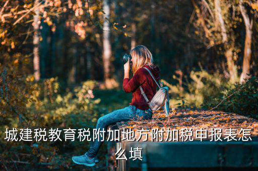新城建稅附加表如何填，網(wǎng)上申報(bào)城建稅教育附加稅怎么填