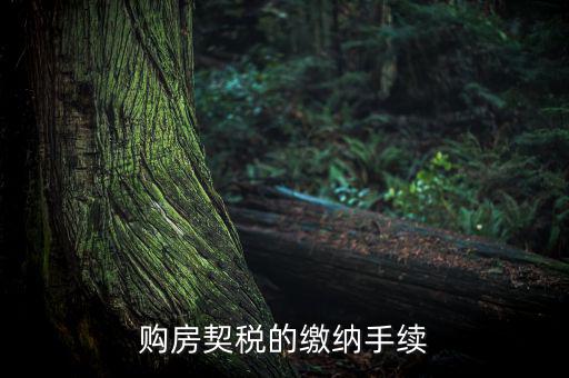 如何繳納契稅，購(gòu)房契稅的繳納手續(xù)