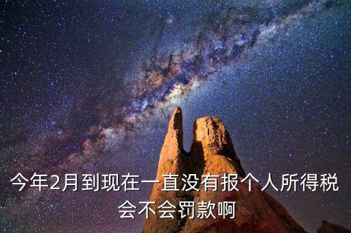 個(gè)稅申報(bào)不報(bào)會(huì)如何，個(gè)人所得稅自行申報(bào)不去做有什么危害