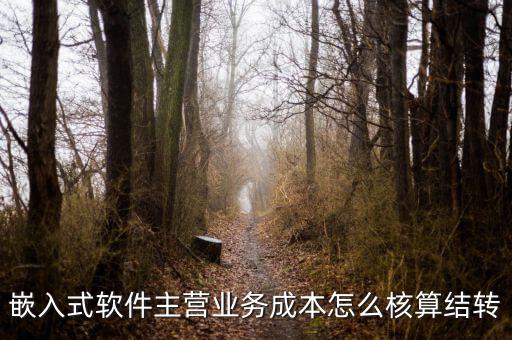 嵌入式軟件成本如何確定，嵌入式軟件主營業(yè)務(wù)成本怎么核算結(jié)轉(zhuǎn)