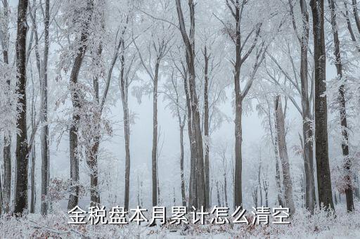 金稅盤如何清稅盤，金稅盤如何清卡解鎖
