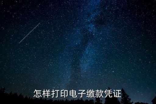 如何打印繳費(fèi)憑證，如何打印之前的繳費(fèi)憑證