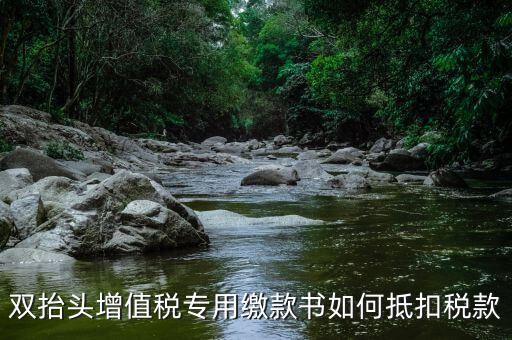 代理進(jìn)口雙抬頭增值稅如何抵扣，海關(guān)稅單雙抬頭 增值稅抵扣問題