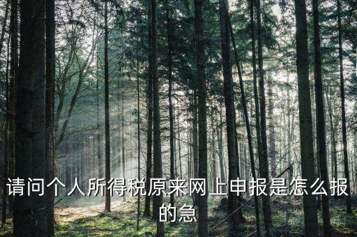 請問個(gè)人所得稅原來網(wǎng)上申報(bào)是怎么報(bào)的急