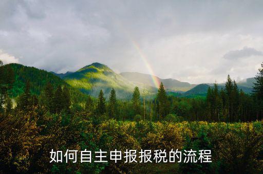 如何進(jìn)行稅務(wù)申報(bào)，個(gè)體戶如何申報(bào)稅