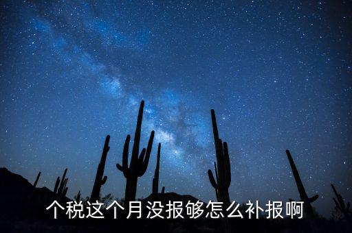 如何補(bǔ)報(bào)個(gè)人所得稅，個(gè)人所得稅報(bào)錯(cuò)了怎么補(bǔ)報(bào)