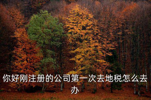 新辦企業(yè)如何辦地稅，新辦企業(yè)去地稅報道需要帶什么手續(xù)