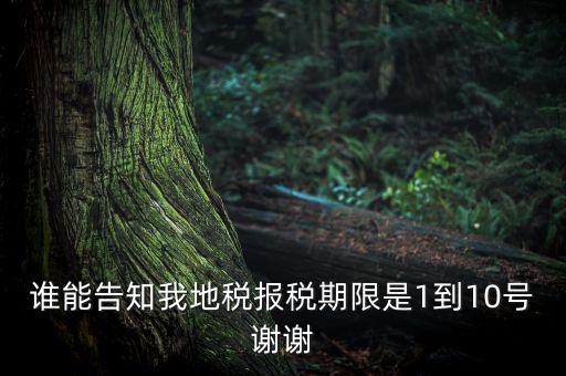 地稅的報(bào)稅期是什么時(shí)候，地稅中的年度財(cái)務(wù)報(bào)表申報(bào)期限是什么時(shí)候