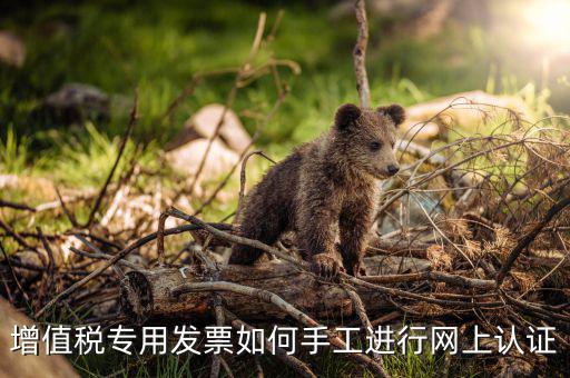 如何手工認(rèn)證發(fā)票，網(wǎng)上發(fā)票認(rèn)證怎么手工輸入