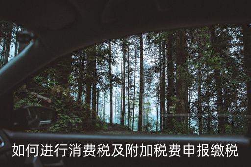 附加稅如何才能申報，如何進行消費稅及附加稅費申報繳稅