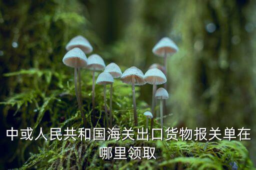 出口報(bào)關(guān)單如何取得，中或人民共和國(guó)海關(guān)出口貨物報(bào)關(guān)單在哪里領(lǐng)取