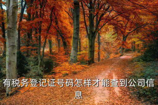 如何查詢公司稅務(wù)信息，怎么用稅證號(hào)碼查詢企業(yè)信息