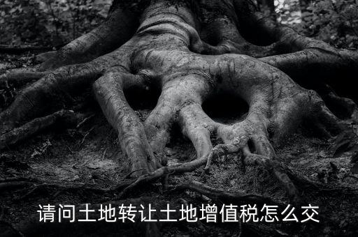土地增值稅如何繳納，請(qǐng)問土地轉(zhuǎn)讓土地增值稅怎么交