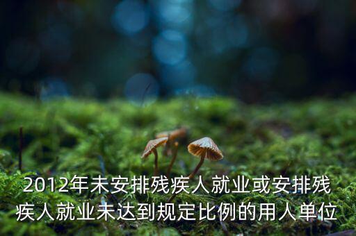 殘保金如何計算，2012年未安排殘疾人就業(yè)或安排殘疾人就業(yè)未達到規(guī)定比例的用人單位