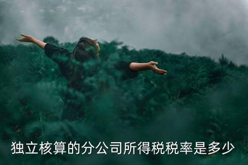 獨立核算的分公司如何納稅，誰知道獨立核算的同城分公司如何繳稅