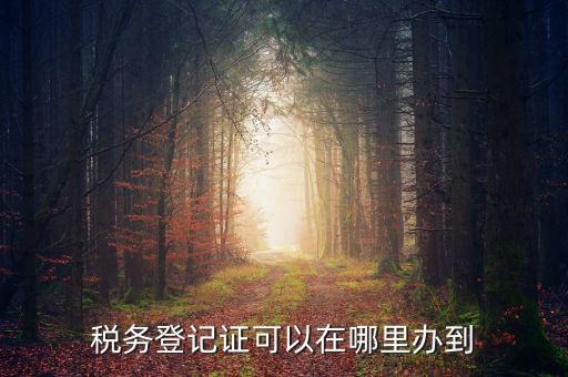 如何辦理稅種登記，辦好營業(yè)執(zhí)照后怎么辦理稅務(wù)登記證