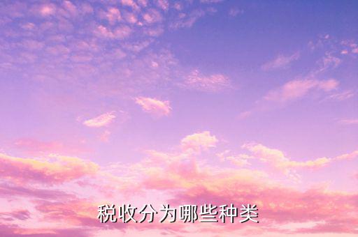 如何對稅收進行分類，我國的稅收分類方式主要有哪些