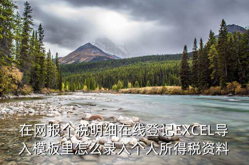 北京個稅明細申報如何導入，在網(wǎng)報個稅明細在線登記EXCEL導入模板里怎么錄入個人所得稅資料