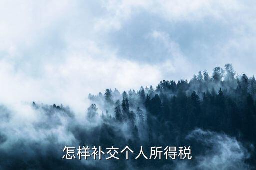 如何補(bǔ)交個人所得稅，如何用個人所得稅扣繳系統(tǒng)補(bǔ)繳稅款