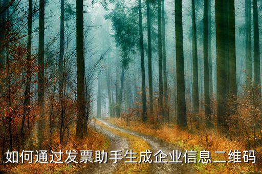 如何生成企業(yè)開(kāi)票二維碼，如何通過(guò)發(fā)票助手生成企業(yè)信息二維碼