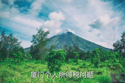 廈門企業(yè)個稅如何申報，廈門個人所得稅問題