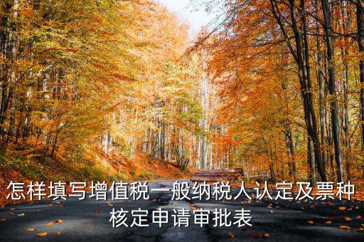 怎樣填寫(xiě)增值稅一般納稅人認(rèn)定及票種核定申請(qǐng)審批表