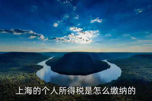 上海個人所得稅如何繳納，上海個人所得稅的繳納急