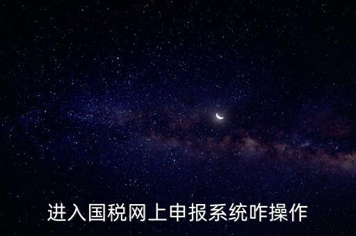 進(jìn)入國稅網(wǎng)上申報系統(tǒng)咋操作