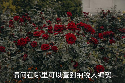 教您如何查詢納稅人代碼，忘記稅務(wù)征收機(jī)關(guān)代碼