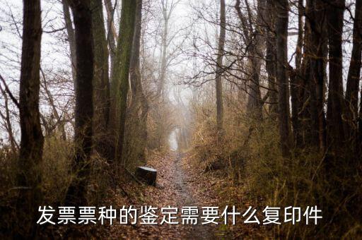 如何做票種認(rèn)定，如何申請發(fā)票票種