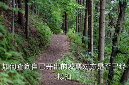 如何查詢已抵扣發(fā)票，怎么查詢開(kāi)出的發(fā)票有沒(méi)有被抵扣