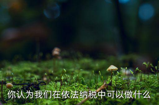 如何做到依法納稅，你認(rèn)為我們在依法納稅中可以做什么