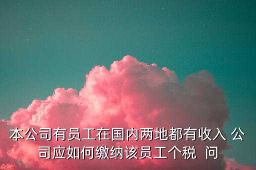 公司內(nèi)部應該如何制定個稅繳納制度，企業(yè)工資項目構(gòu)成以及交納個人所得稅的方法