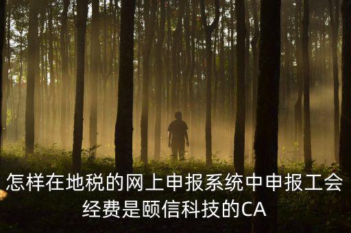 工會(huì)經(jīng)費(fèi)如何網(wǎng)上申報(bào)，怎樣在地稅的網(wǎng)上申報(bào)系統(tǒng)中申報(bào)工會(huì)經(jīng)費(fèi)是頤信科技的CA