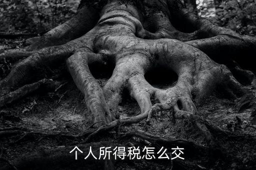 個(gè)人所得稅如何繳納，個(gè)人所得稅怎么繳納