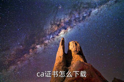如何下載國(guó)稅ca證書，ca證書怎么下載