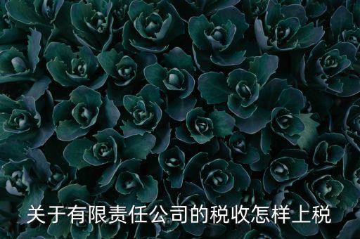 有限責(zé)任公司如何繳稅，有限責(zé)任公司是如何納稅的要繳納的稅種都有哪些