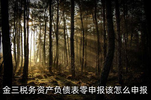金稅三期如何零申報，金三稅務系統(tǒng)零申報需要報什么