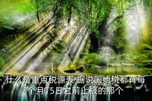什么是重點(diǎn)稅源表 據(jù)說國(guó)地稅都有每個(gè)月15日之前上報(bào)的那個(gè)