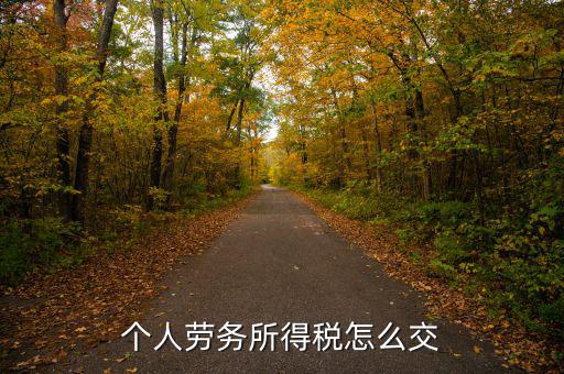 個人勞務(wù)費如何繳稅，勞務(wù)報酬所得怎么繳納個人所得稅