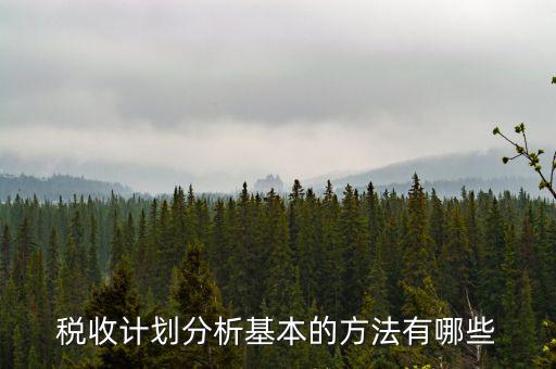 如何打造稅收分析拳頭產(chǎn)品，如何做好稅收預(yù)測工作