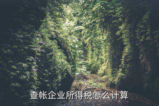 企業(yè)所得稅如何查賬，企業(yè)所得稅計(jì)算 查賬法