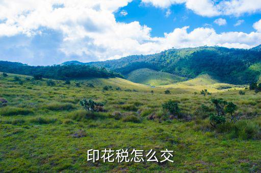 個(gè)人如何繳納印花稅，印花稅怎么交