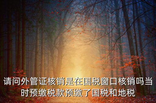 外管證如何核銷，發(fā)票已開外管證丟了怎么核銷