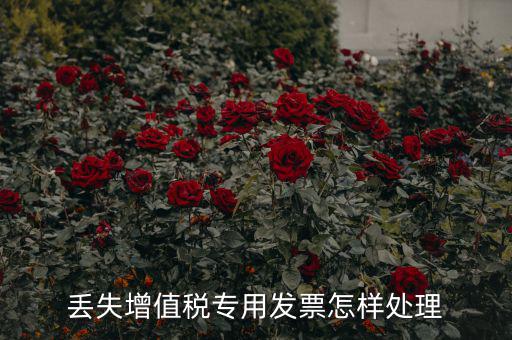 丟失增值稅專(zhuān)用發(fā)票怎樣處理