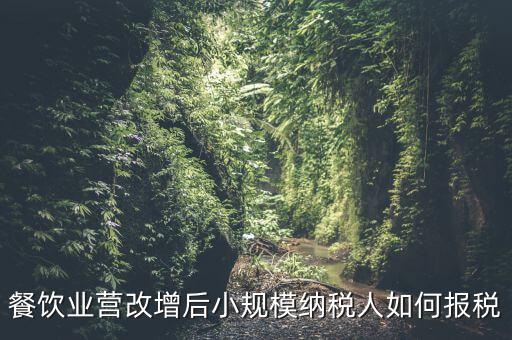 營改增后小規(guī)模納稅人如何報稅，營改增后小規(guī)模的怎么報稅