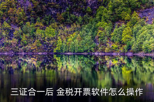 三證合一如何開(kāi)票系統(tǒng)，怎么給三證合一的企業(yè)開(kāi)增值稅發(fā)票