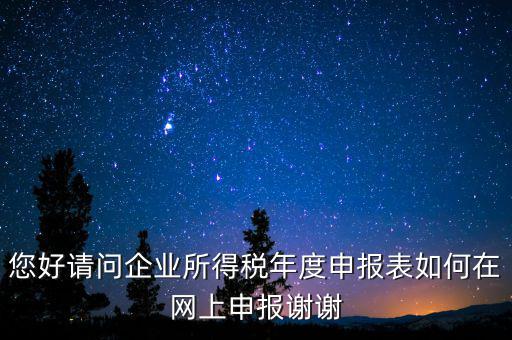 公司如何網(wǎng)絡(luò)申報(bào)表，新手請(qǐng)教企業(yè)所得稅年度納稅申報(bào)表在網(wǎng)上如何申報(bào)