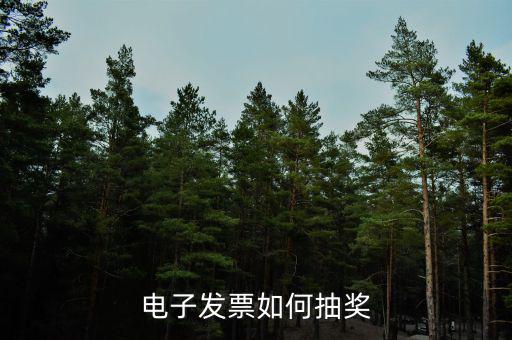 發(fā)票如何登記抽獎，發(fā)票怎么抽獎